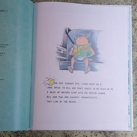 Boys Best Weekend Summer Vacation Children's Picture Book Marla Frazee - Picture 5 of 6